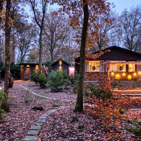 Lodge In Een Bosrijke Omgeving Met Hottub & Sauna Opt Rheezerveen Zewnętrze zdjęcie