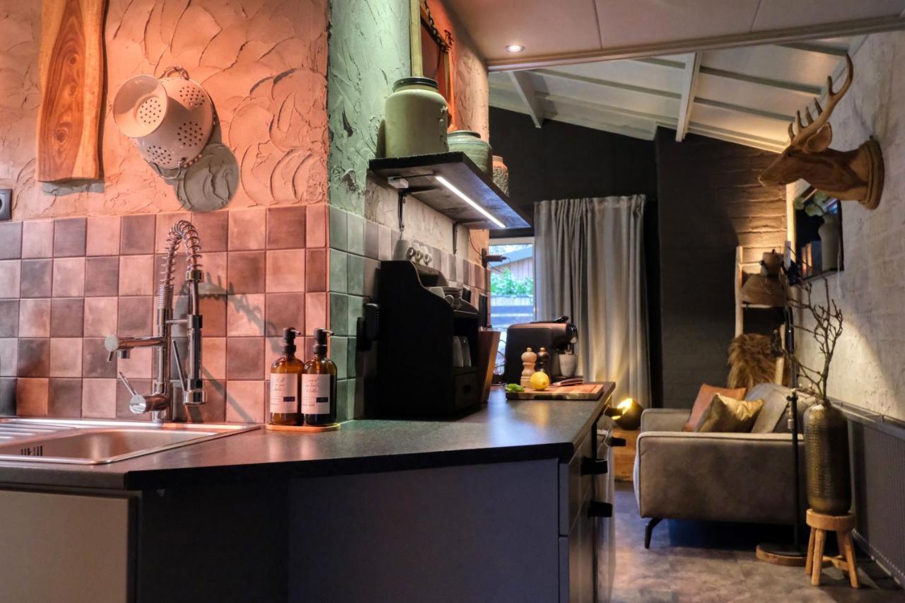 Lodge In Een Bosrijke Omgeving Met Hottub & Sauna Opt Rheezerveen Zewnętrze zdjęcie