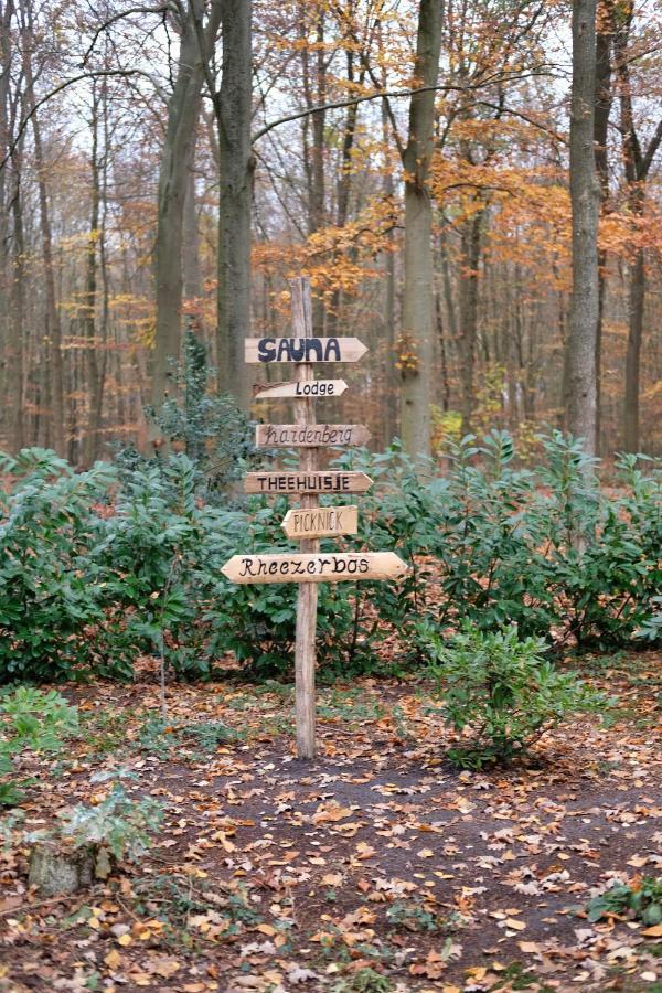 Lodge In Een Bosrijke Omgeving Met Hottub & Sauna Opt Rheezerveen Zewnętrze zdjęcie