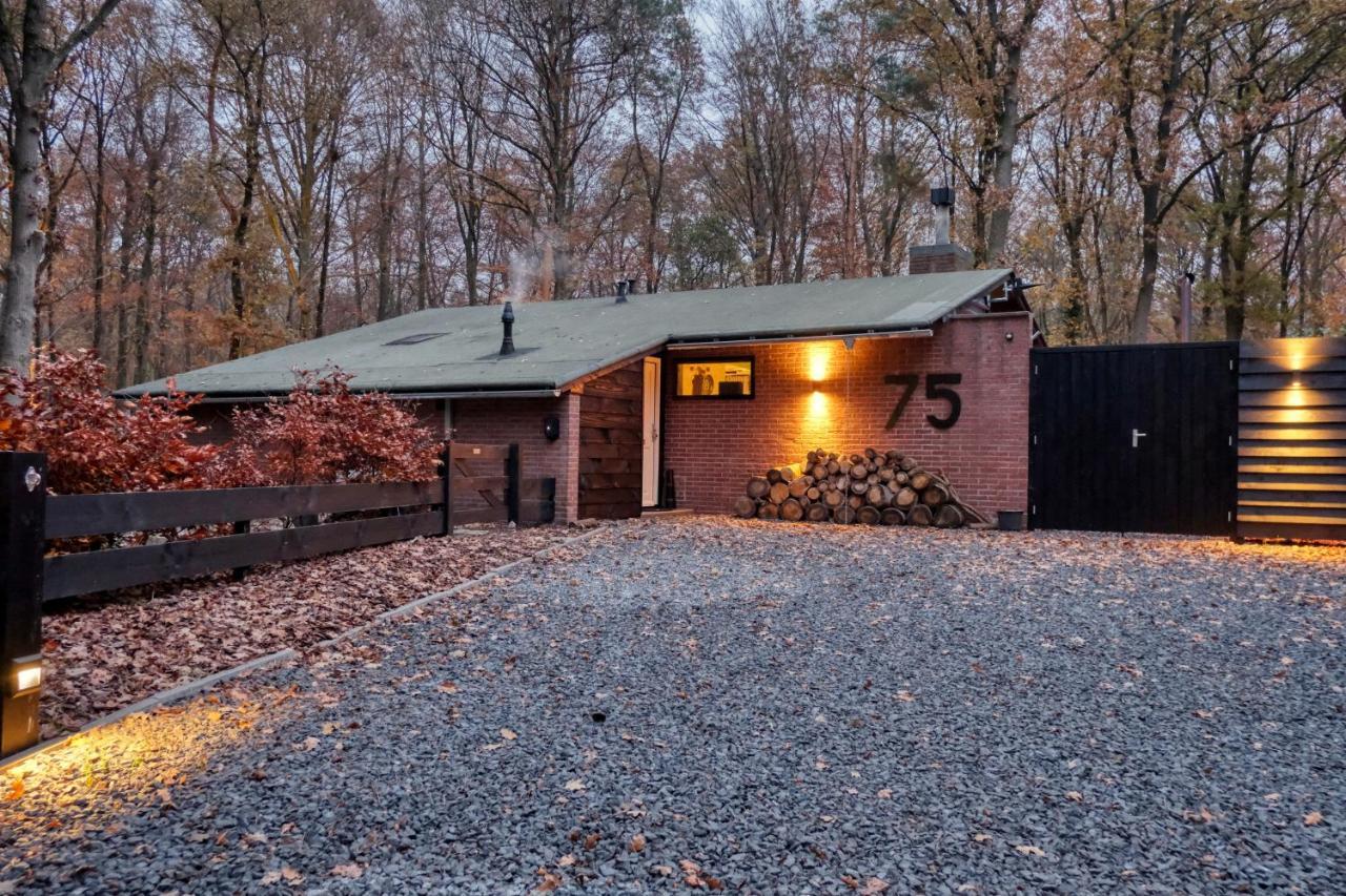 Lodge In Een Bosrijke Omgeving Met Hottub & Sauna Opt Rheezerveen Zewnętrze zdjęcie